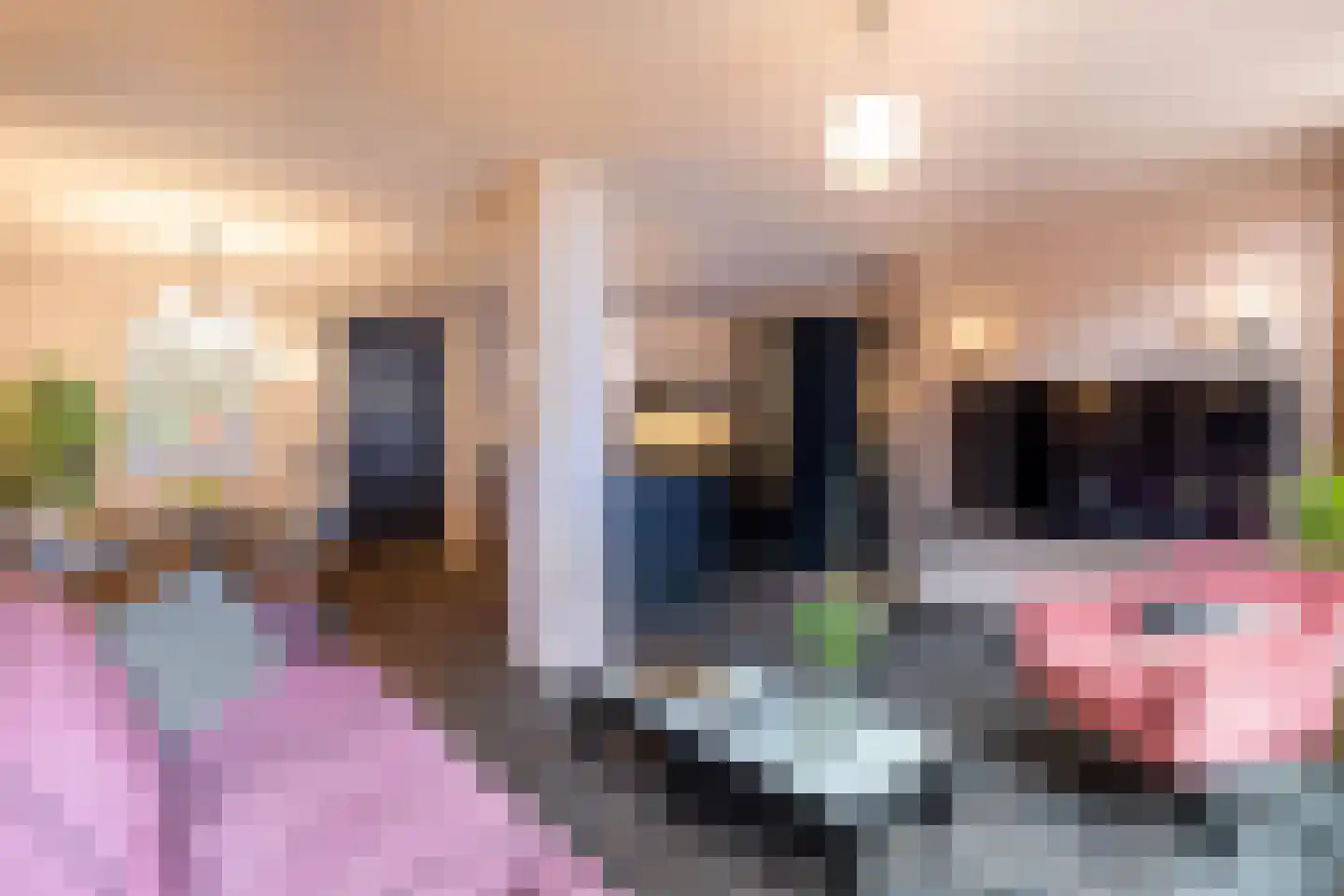 Kerkstraat 1 Vollenhove thumbnail 6