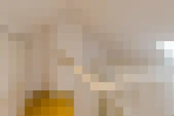 Kerkstraat 1 Waalre thumbnail 19