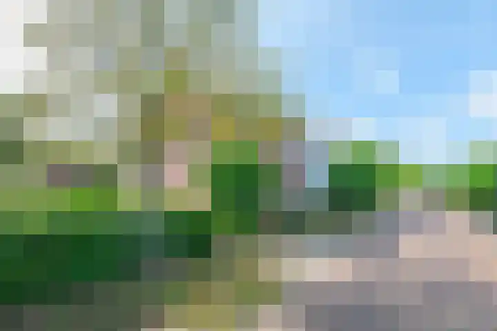 Kerkstraat 1 Waalre thumbnail 29