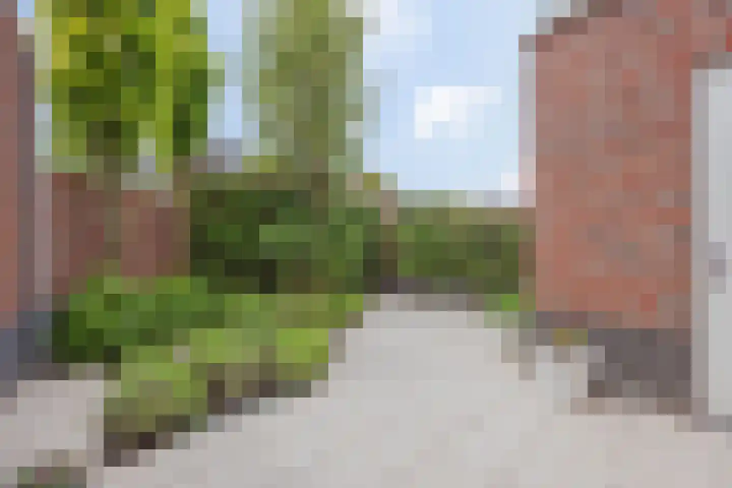 Kerkstraat 10 a Broekhuizenvorst thumbnail 32