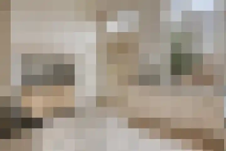 Kerkstraat 10 a Goirle thumbnail 18