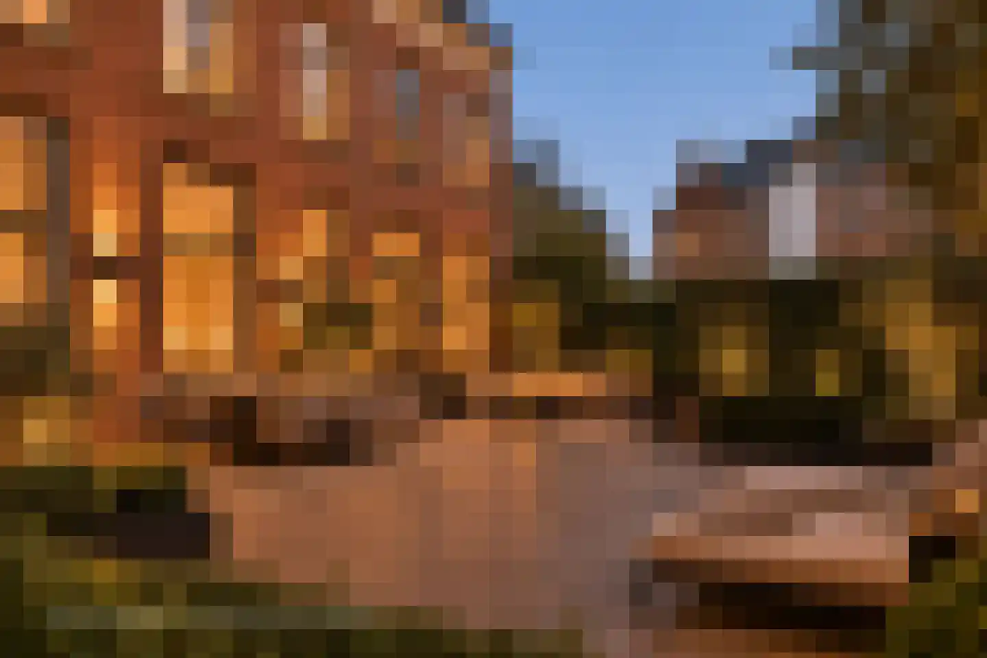 Kerkstraat 10 a Goirle thumbnail 53