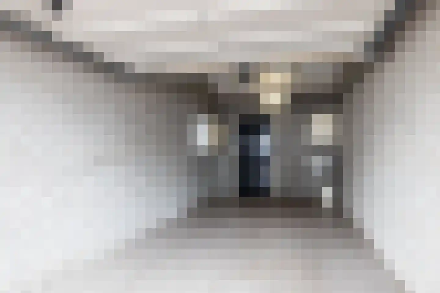 Kerkstraat 10 b Vaals thumbnail 38