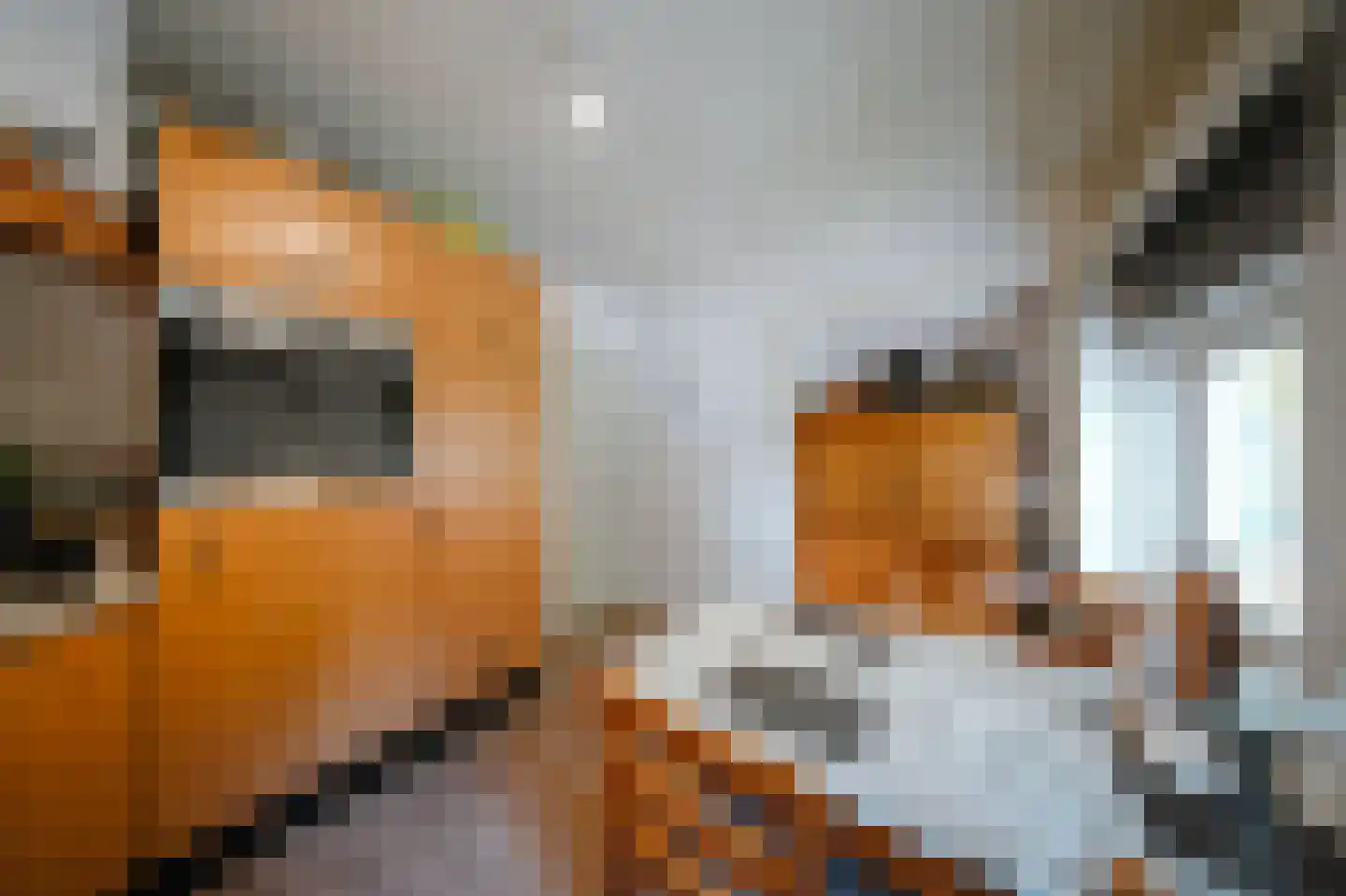 Kerkstraat 10 Beek en Donk thumbnail 11