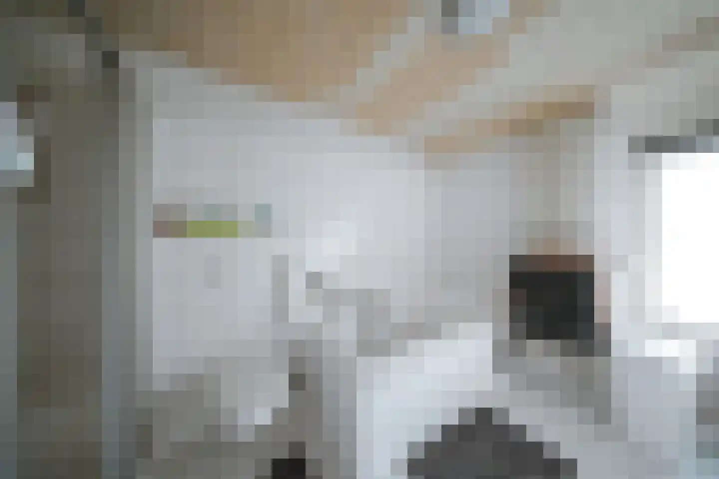 Kerkstraat 10 Beek en Donk thumbnail 12