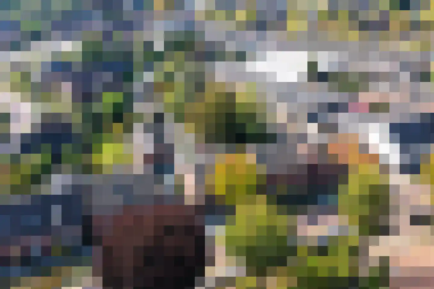 Kerkstraat 10 Beek en Donk thumbnail 4