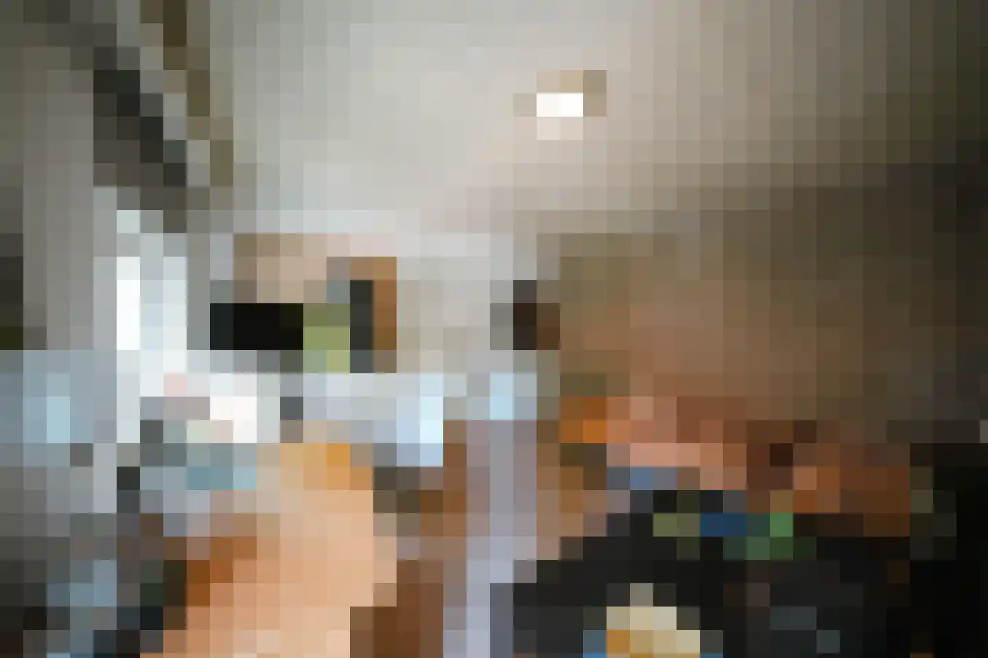 Kerkstraat 10 Beek en Donk thumbnail 8