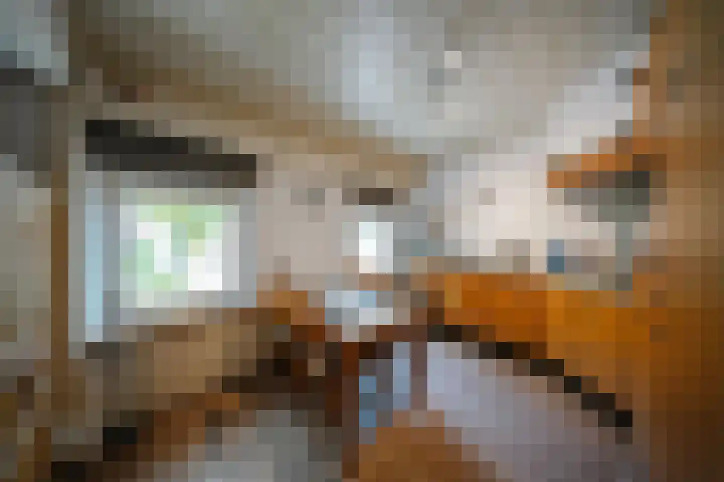 Kerkstraat 10 Beek en Donk thumbnail 9