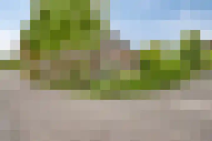 Kerkstraat 10 Bergeijk thumbnail 37
