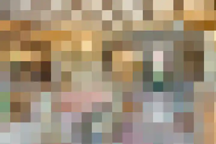Kerkstraat 10 Bergeijk thumbnail 8