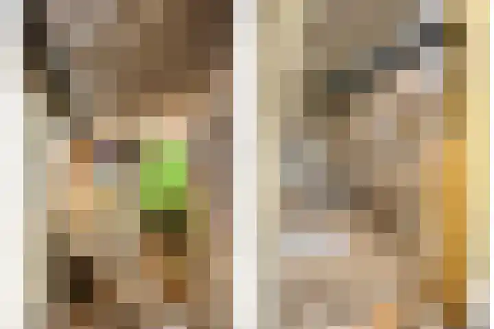 Kerkstraat 10 Doesburg thumbnail 21