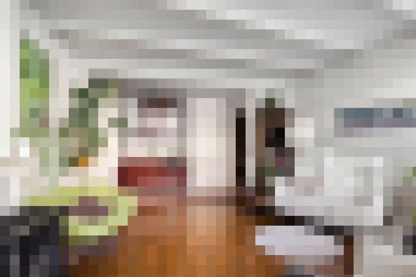 Kerkstraat 10 Doesburg thumbnail 29