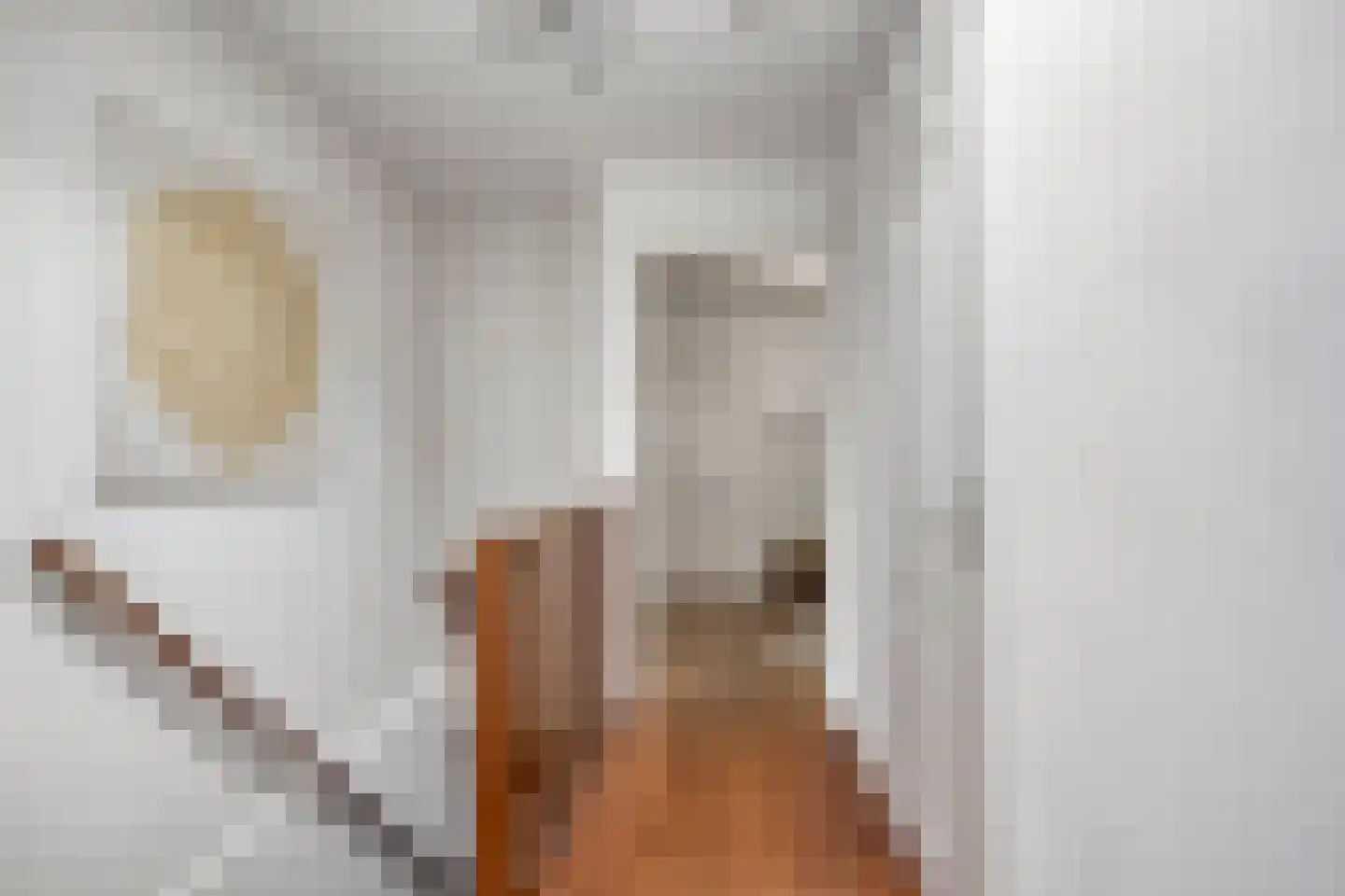 Kerkstraat 10 Doesburg thumbnail 34