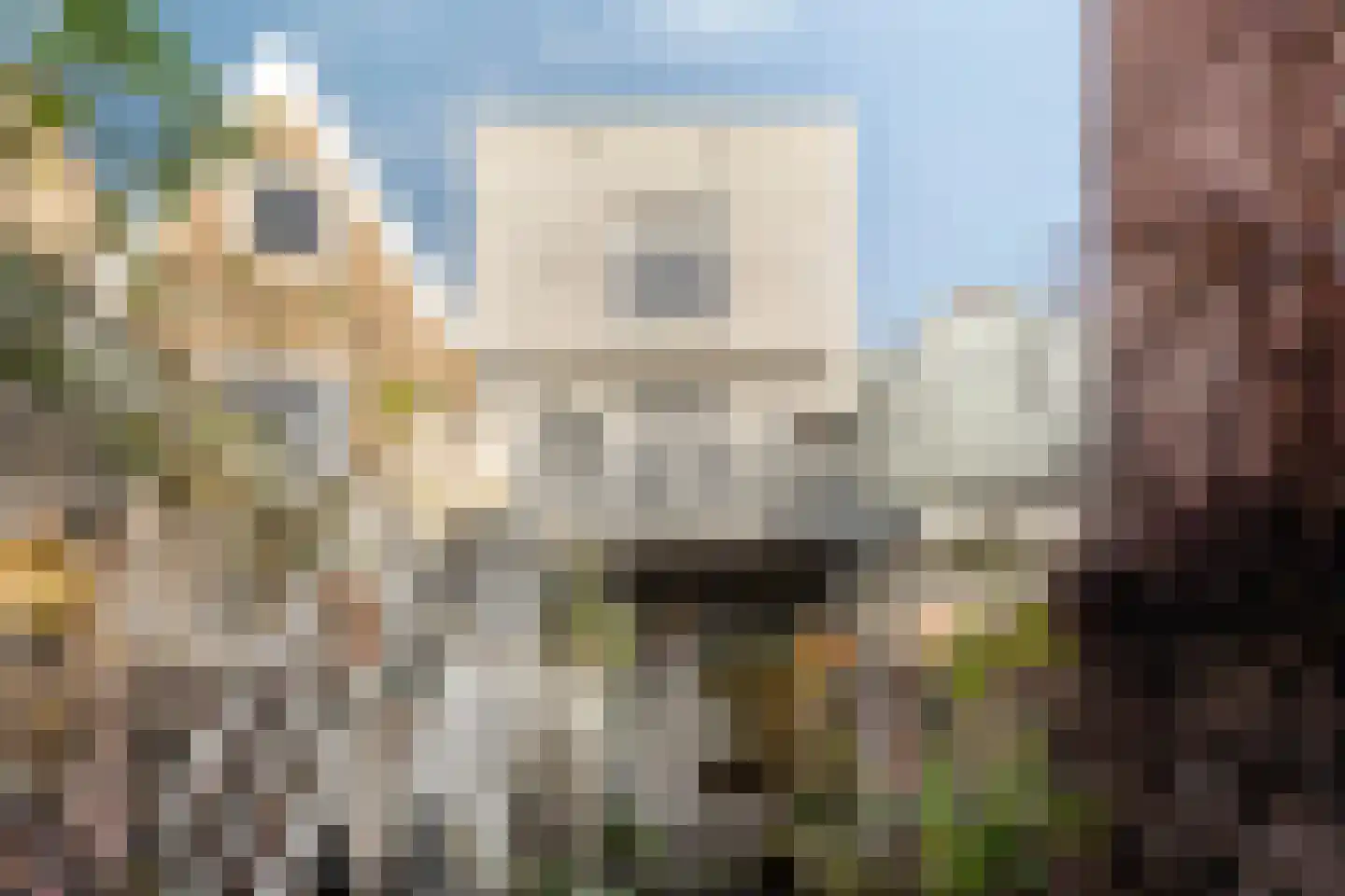 Kerkstraat 10 Doesburg thumbnail 49