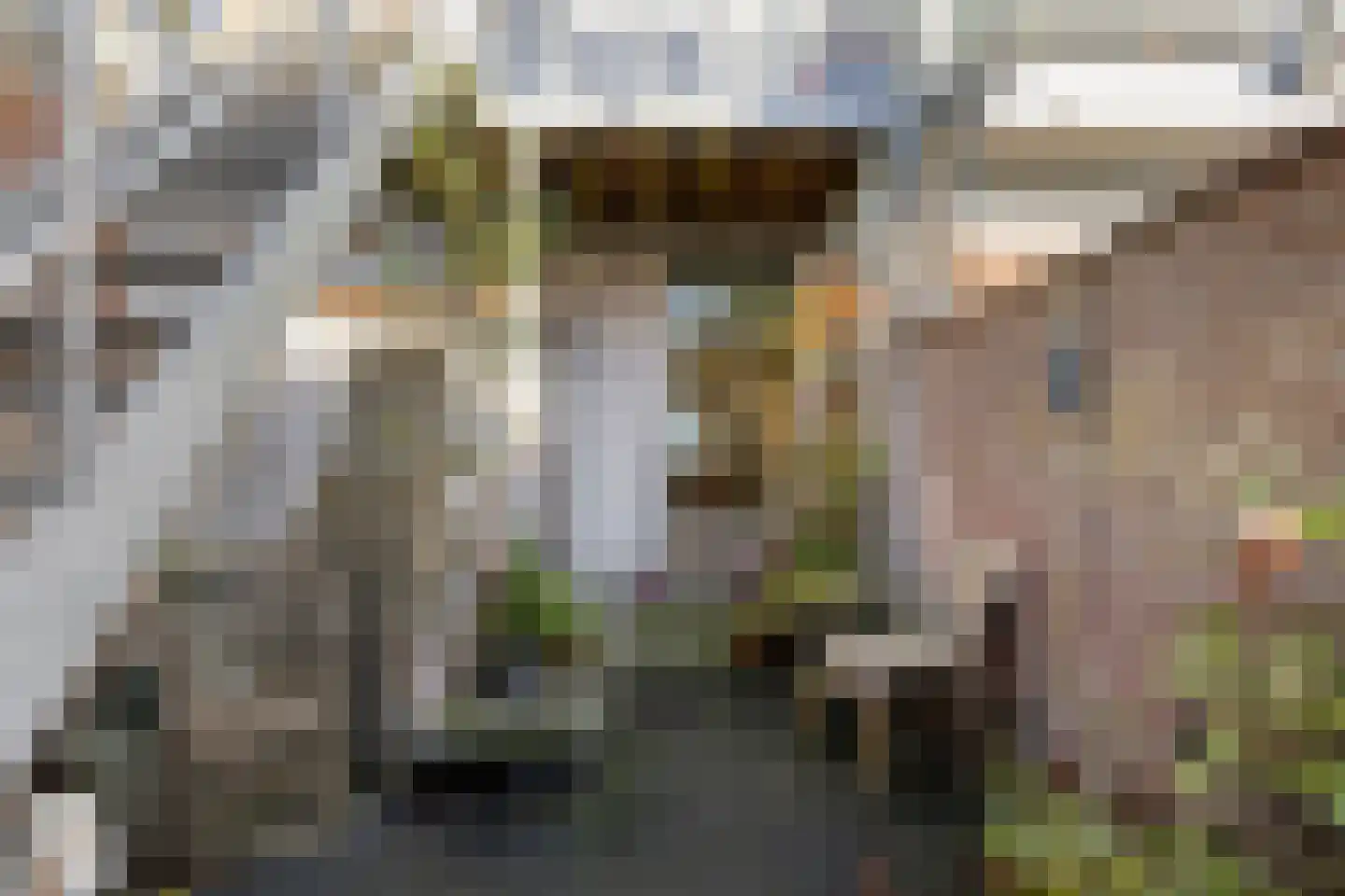 Kerkstraat 10 Doesburg thumbnail 5