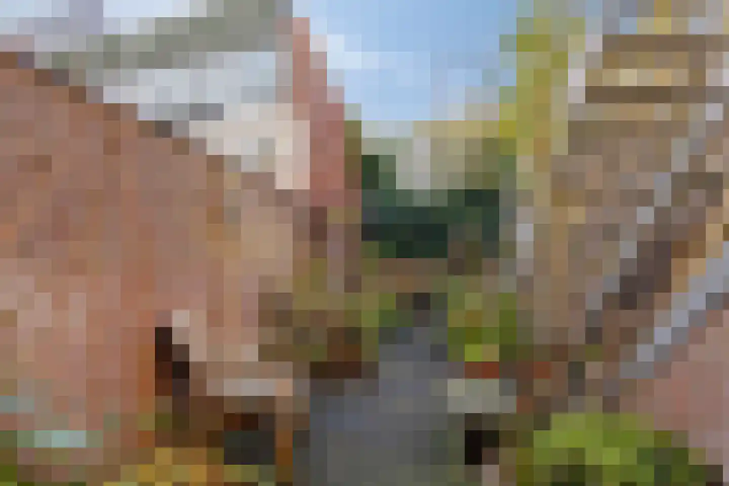 Kerkstraat 10 Doesburg thumbnail 50