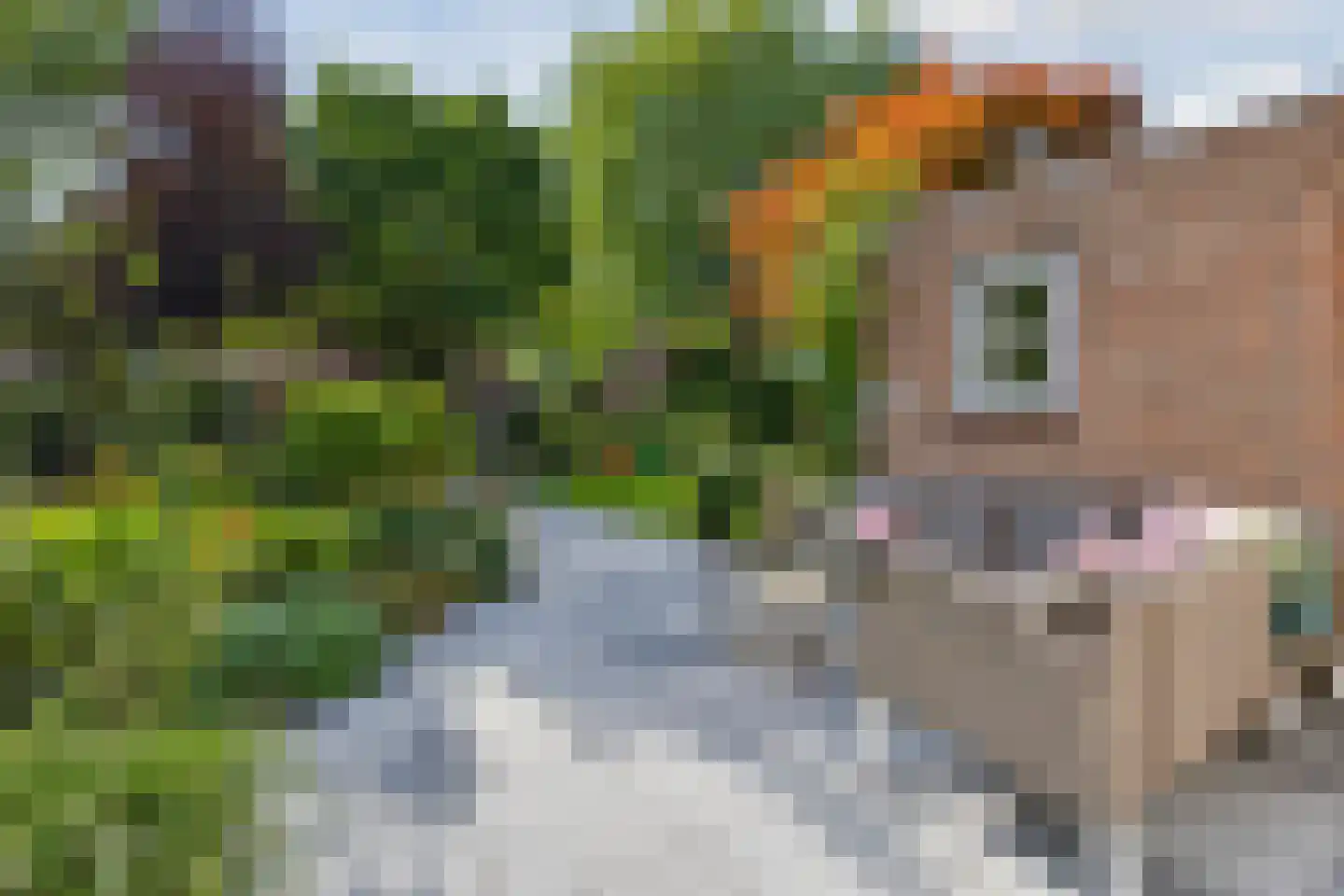 Kerkstraat 10 Dongen thumbnail 12