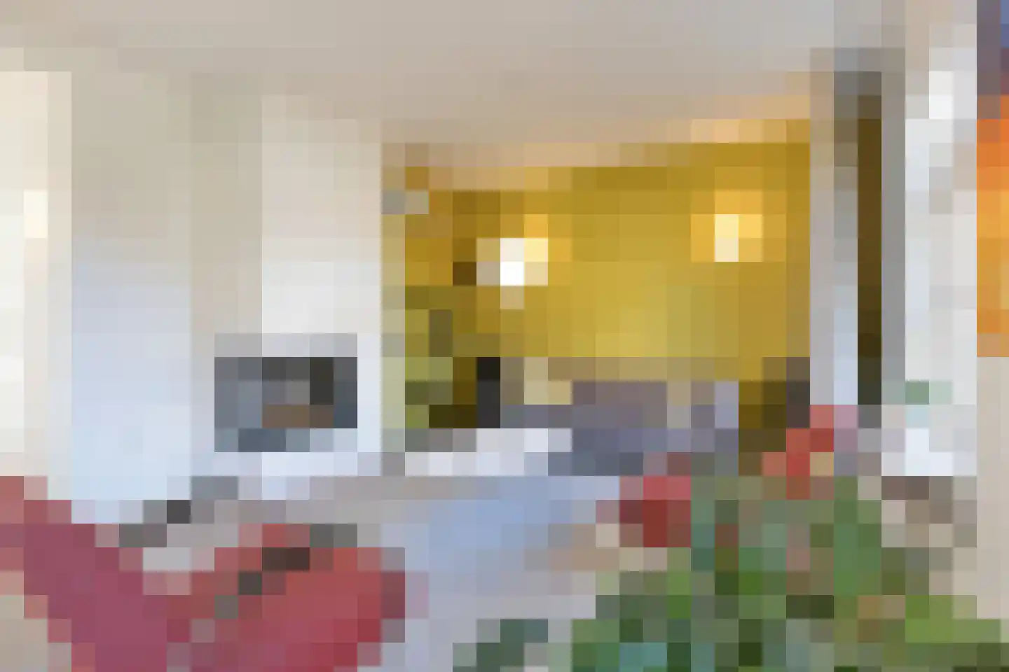 Kerkstraat 10 Dongen thumbnail 21