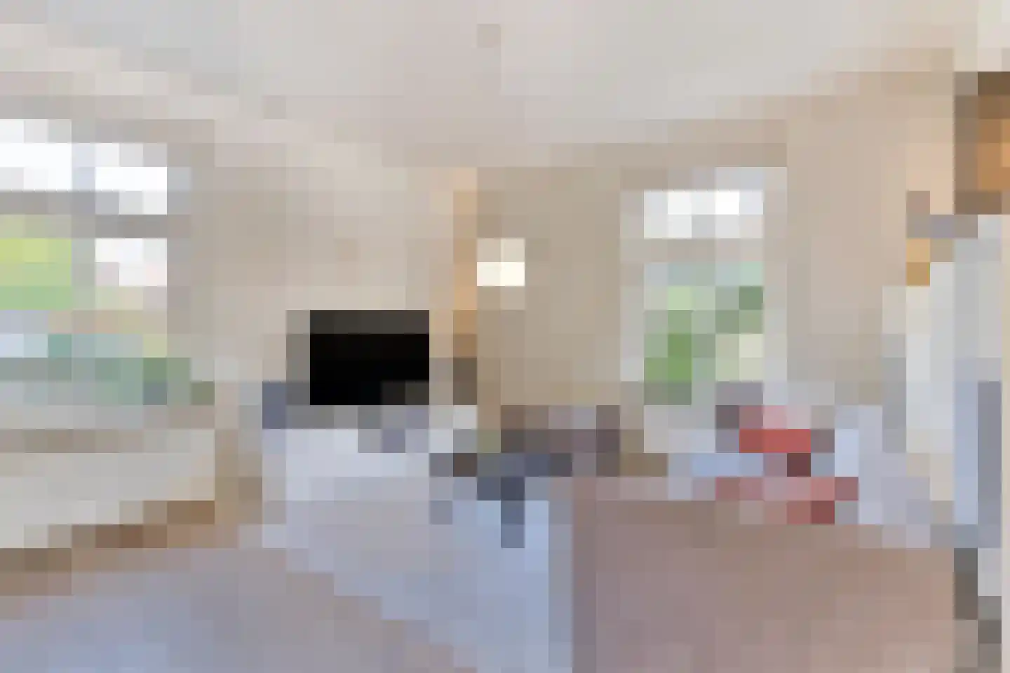 Kerkstraat 10 Dongen thumbnail 23