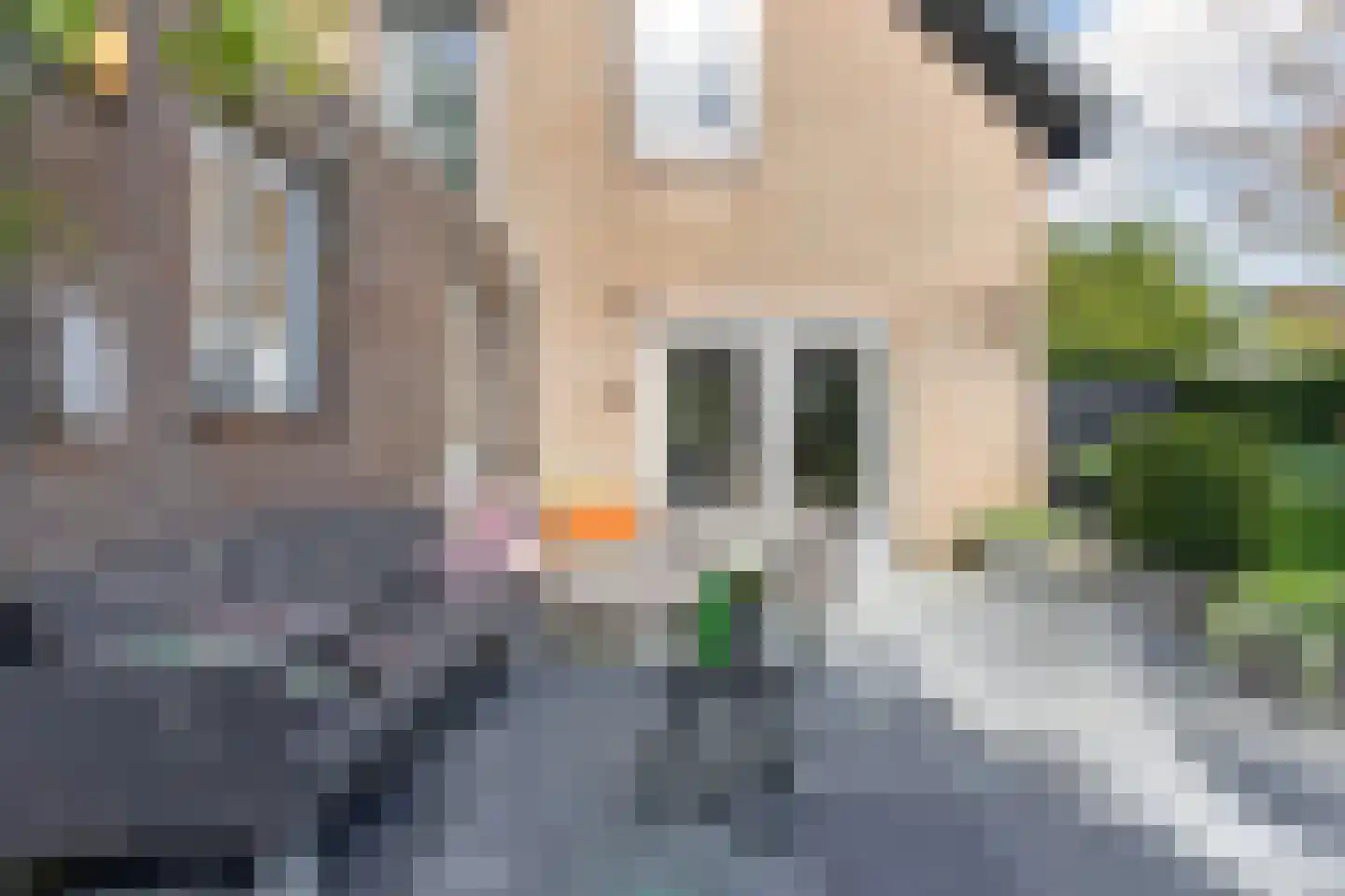 Kerkstraat 10 Dongen thumbnail 35
