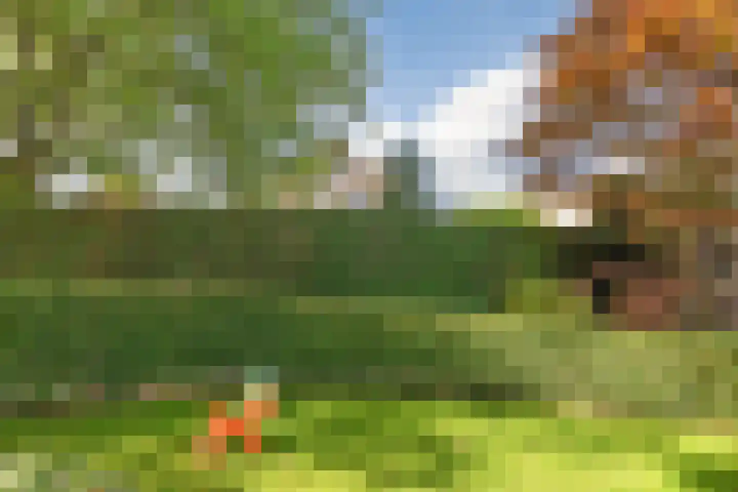 Kerkstraat 10 Dongen thumbnail 38