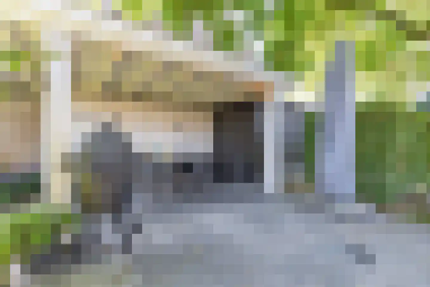 Kerkstraat 10 Dongen thumbnail 40