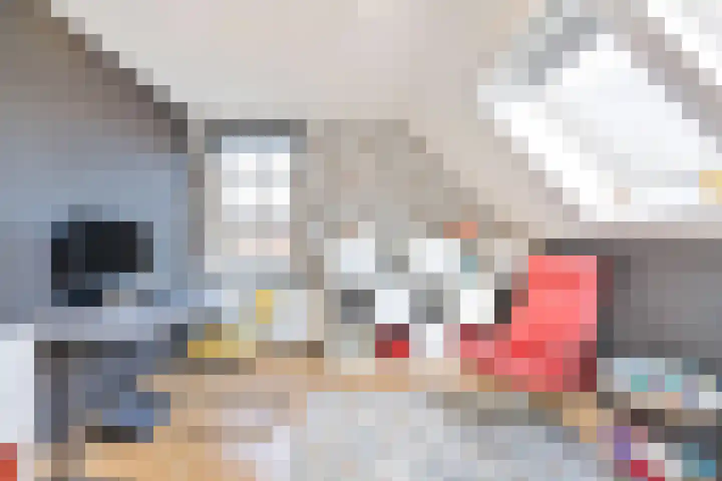 Kerkstraat 10 Dongen thumbnail 8