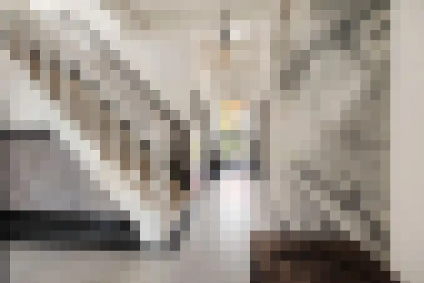 Kerkstraat 10 Egmond aan Zee thumbnail 26