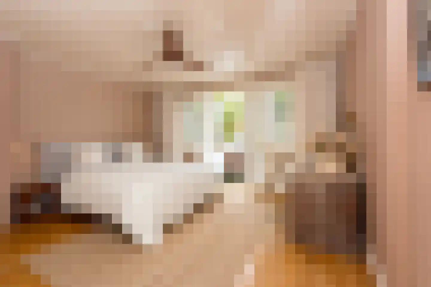 Kerkstraat 10 Egmond aan Zee thumbnail 37