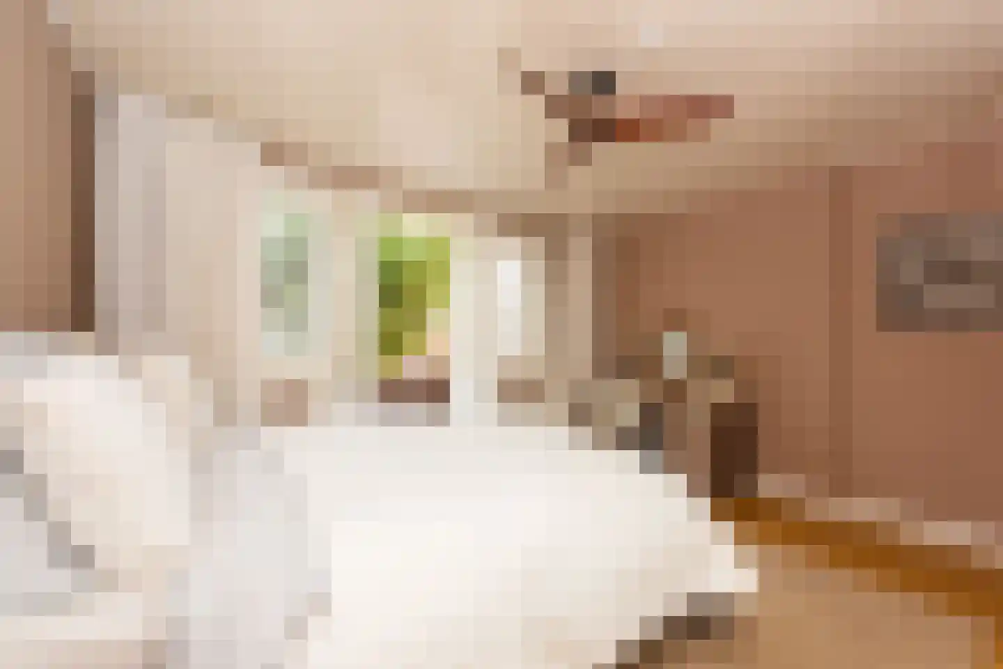 Kerkstraat 10 Egmond aan Zee thumbnail 38