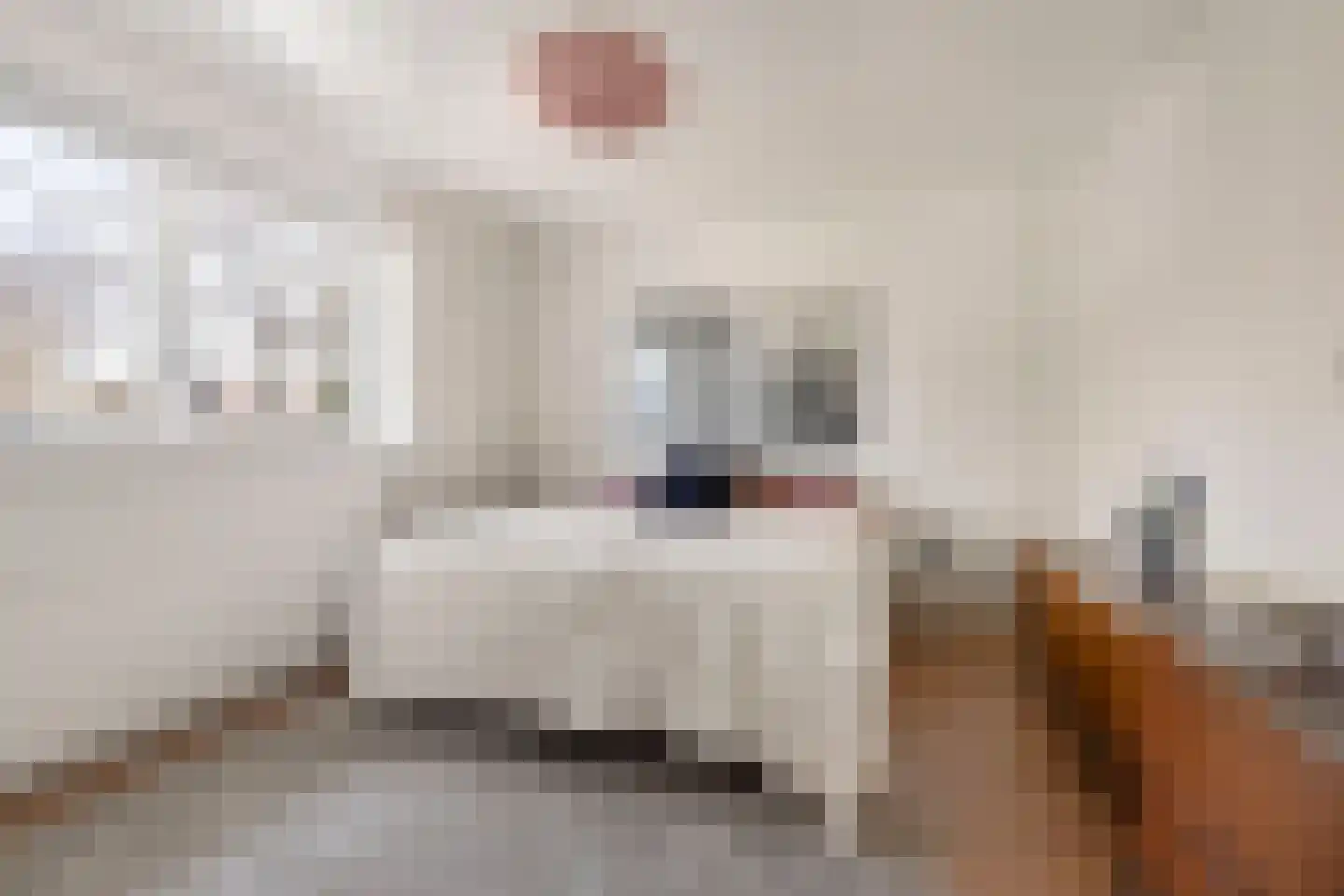Kerkstraat 10 Egmond aan Zee thumbnail 43