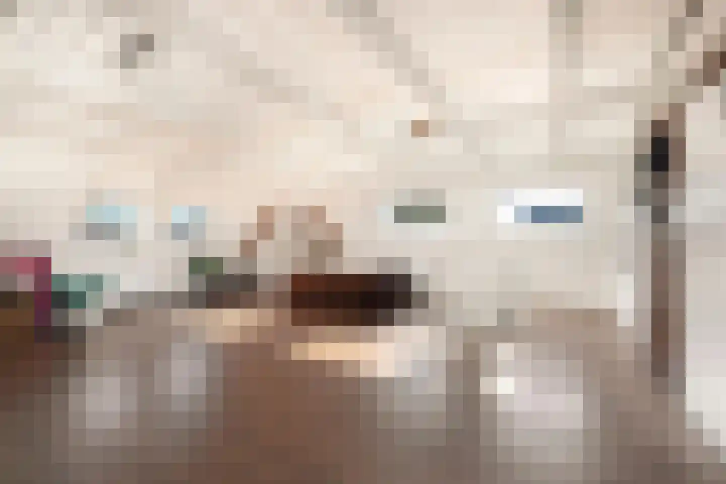 Kerkstraat 10 Egmond aan Zee thumbnail 51