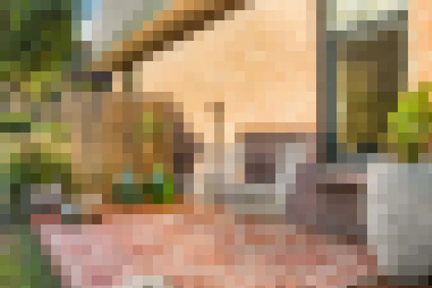 Kerkstraat 10 Egmond aan Zee thumbnail 57