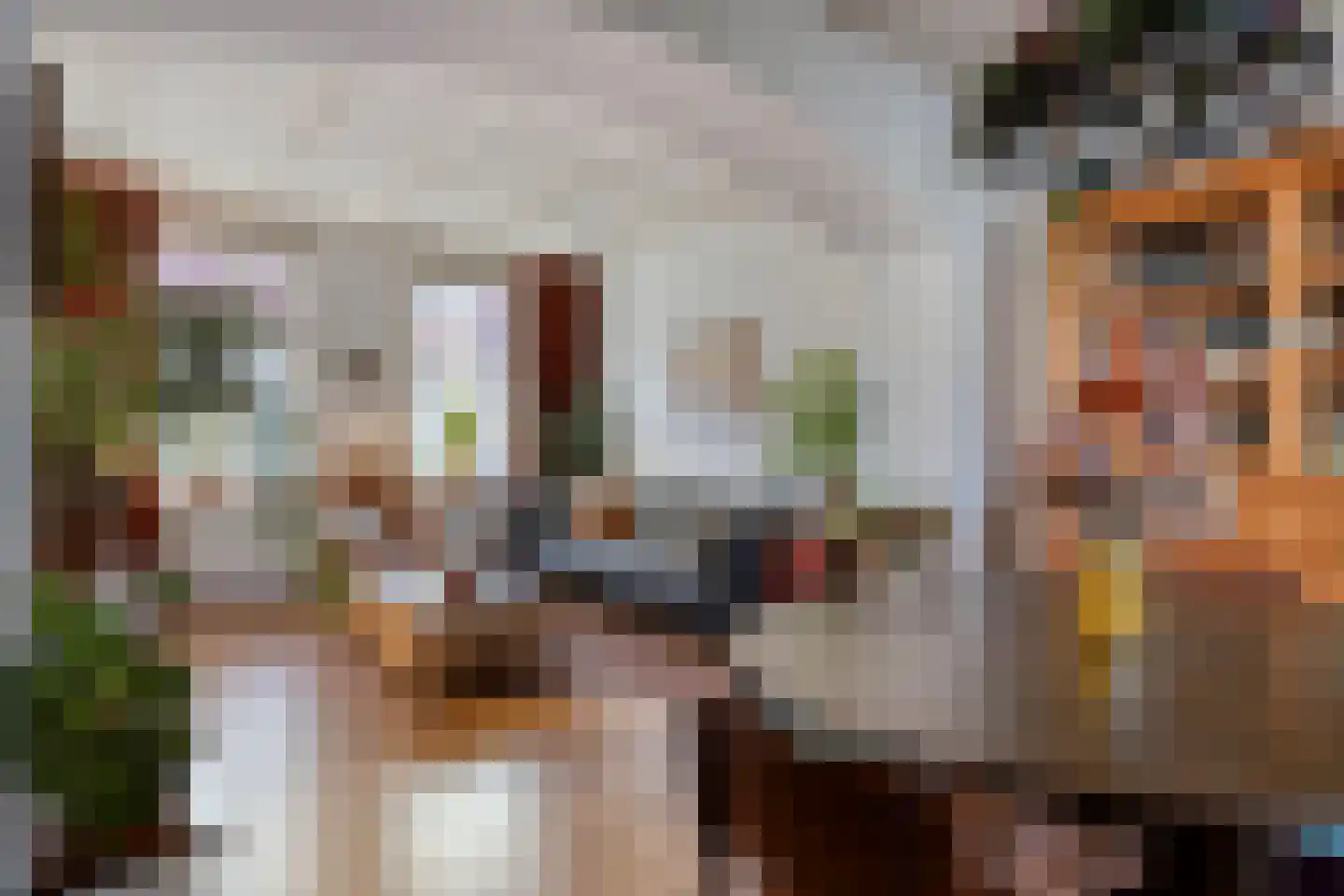 Kerkstraat 10 Hoedekenskerke thumbnail 10