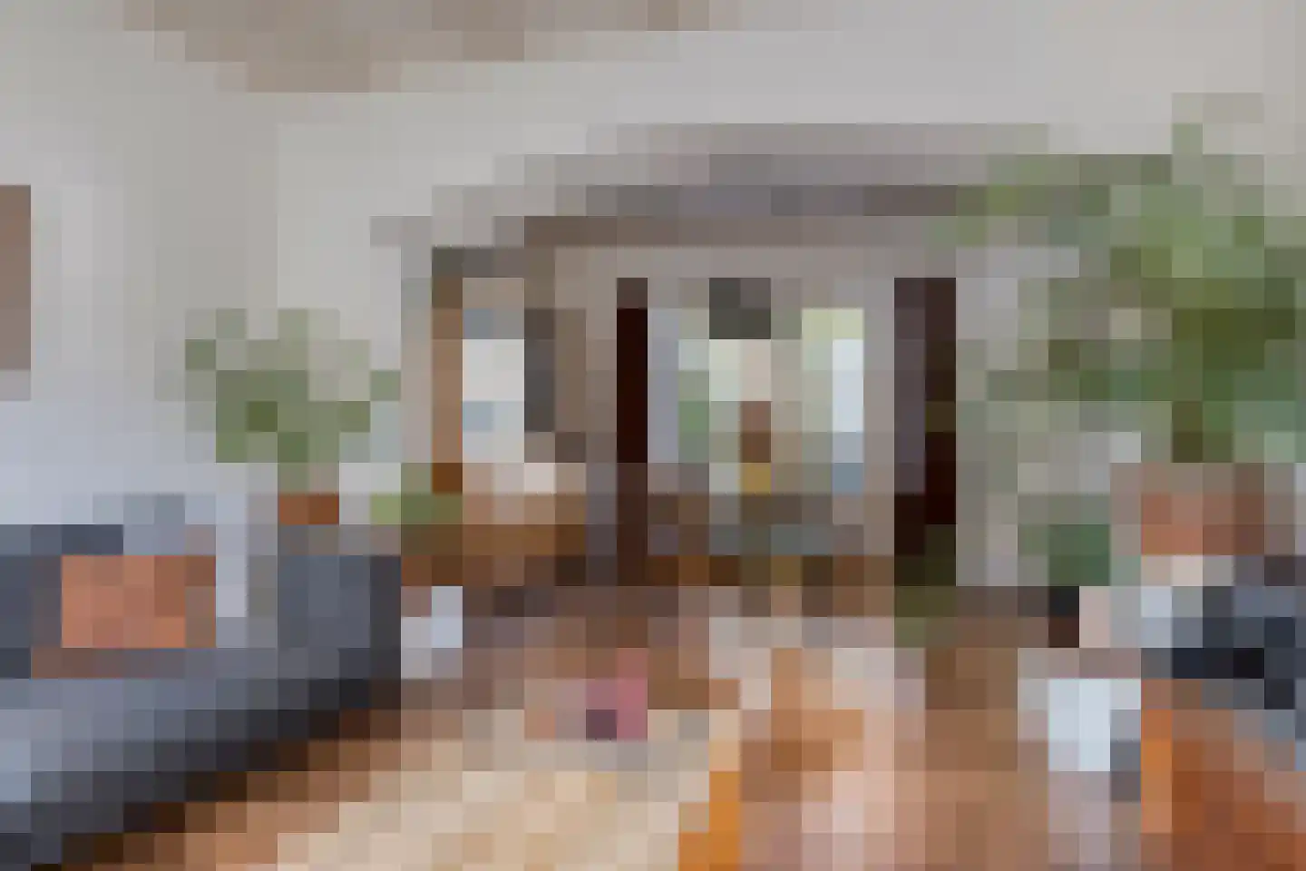 Kerkstraat 10 Hoedekenskerke thumbnail 16