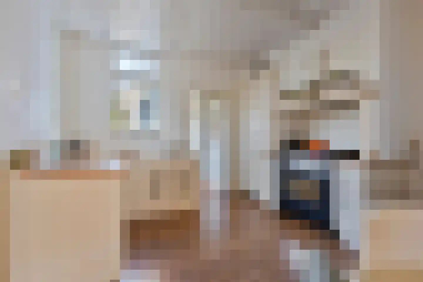 Kerkstraat 10 Hoedekenskerke thumbnail 20