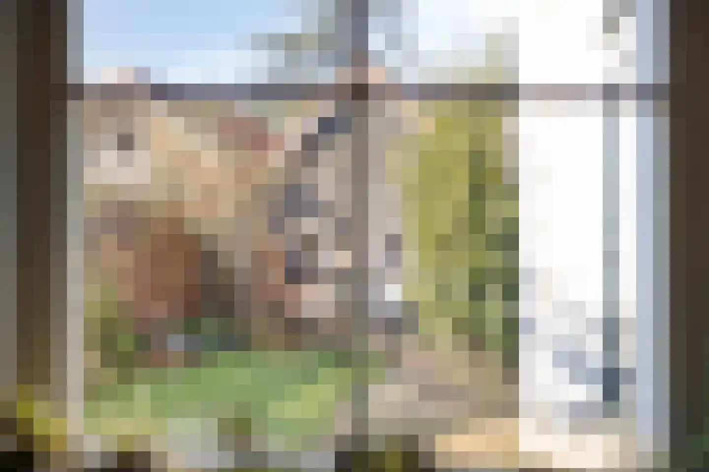 Kerkstraat 10 Hoedekenskerke thumbnail 26