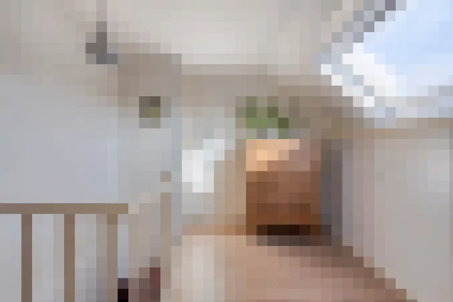 Kerkstraat 10 Hoedekenskerke thumbnail 37