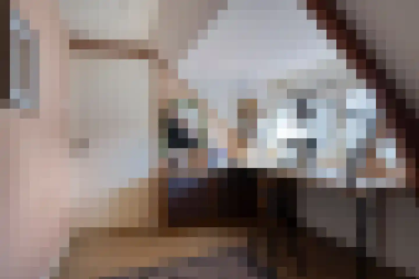 Kerkstraat 10 Hoedekenskerke thumbnail 46