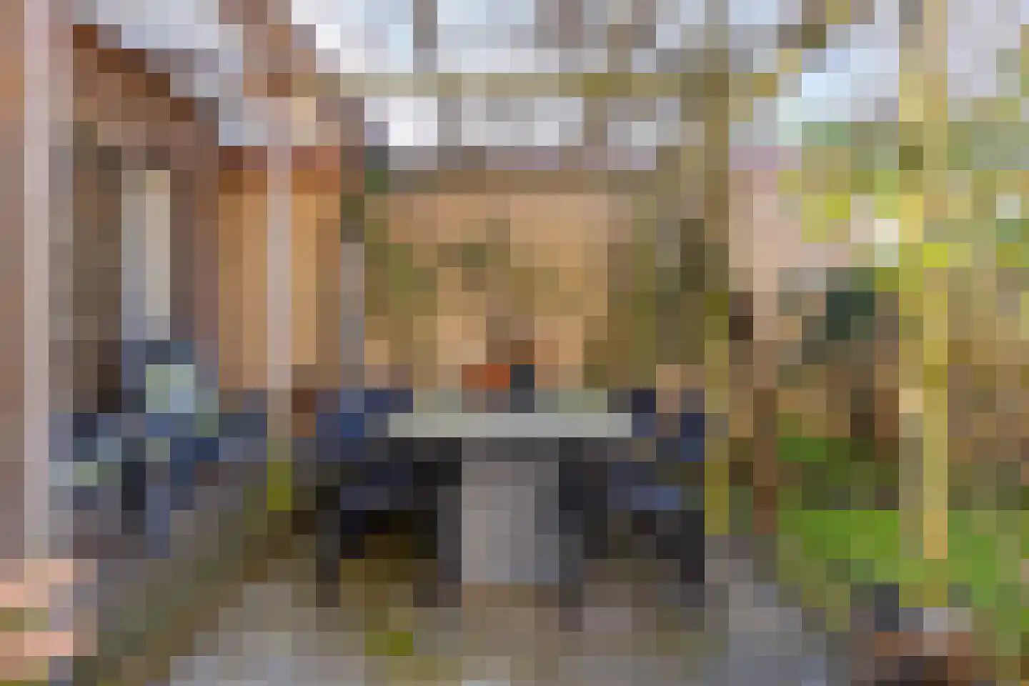 Kerkstraat 10 Hoedekenskerke thumbnail 47