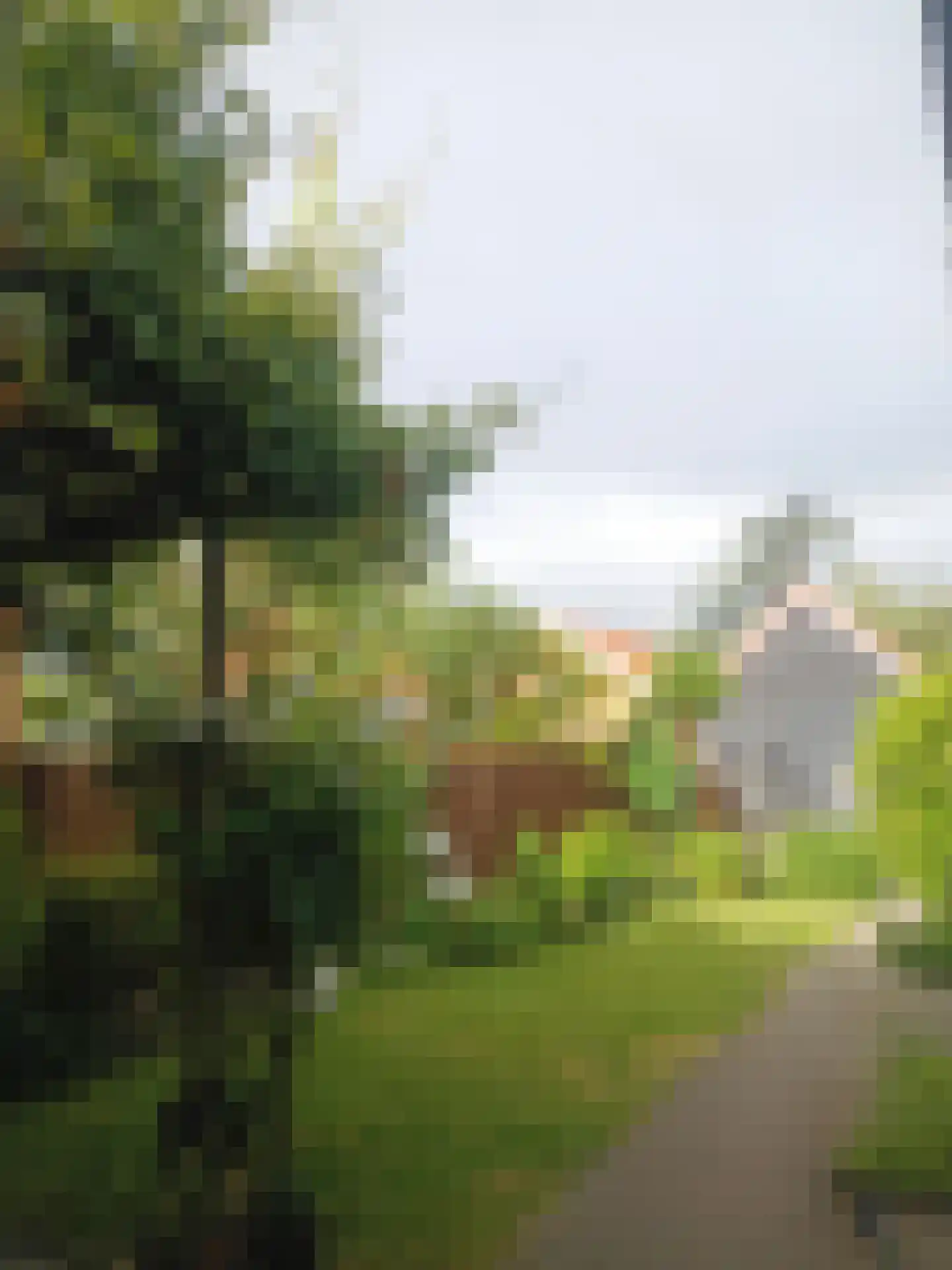 Kerkstraat 10 Hoedekenskerke thumbnail 48