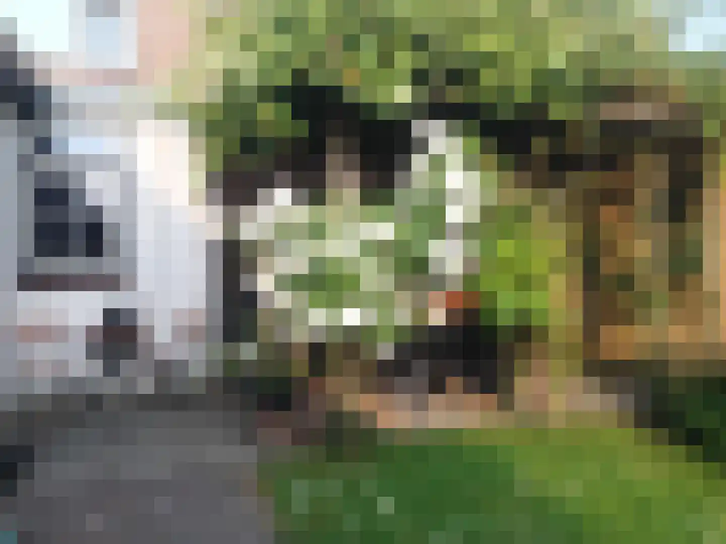 Kerkstraat 10 Hoedekenskerke thumbnail 50