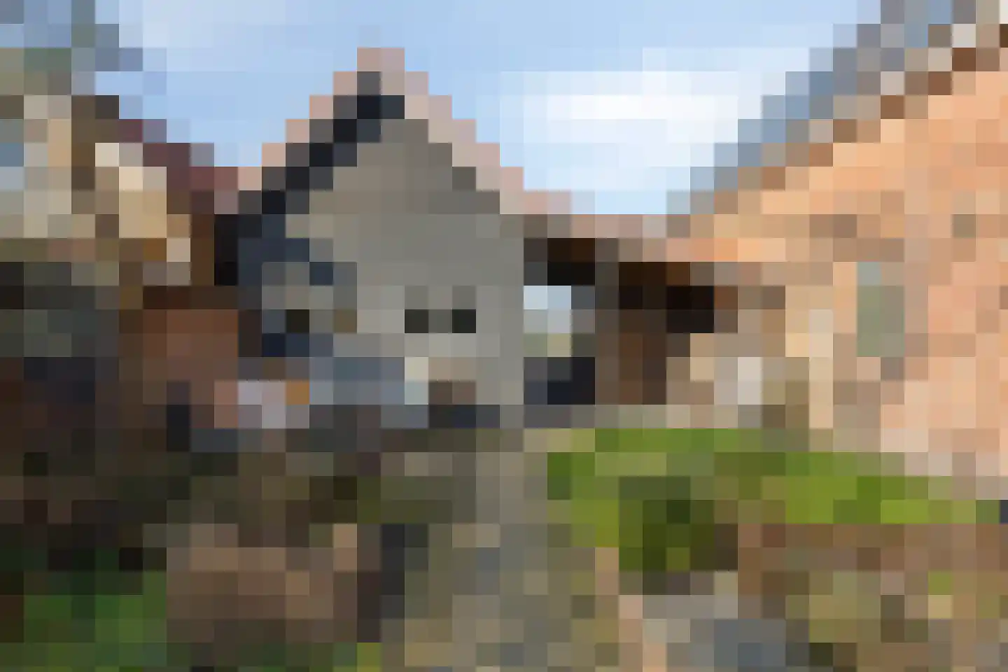 Kerkstraat 10 Hoedekenskerke thumbnail 57