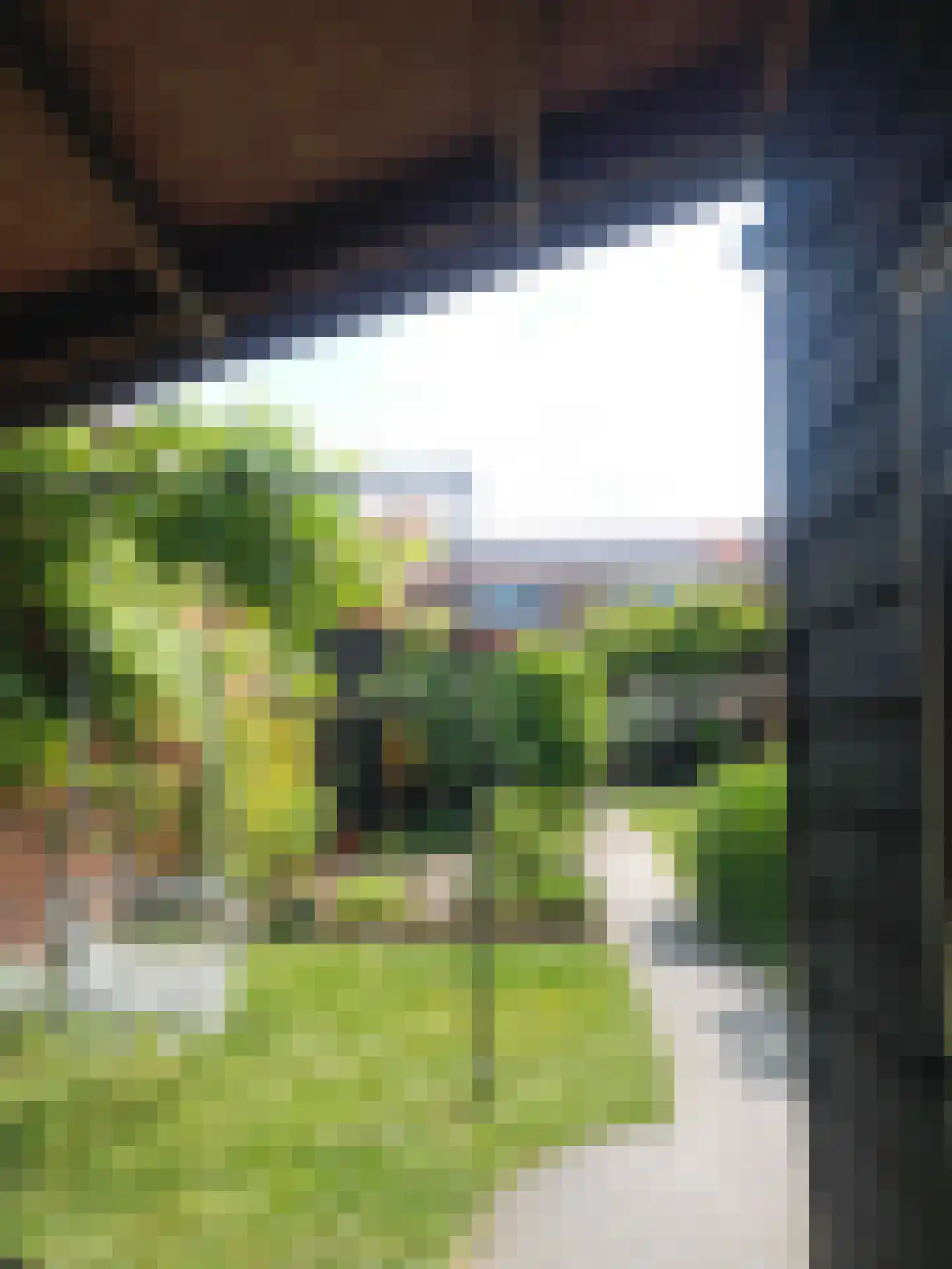 Kerkstraat 10 Hoedekenskerke thumbnail 59