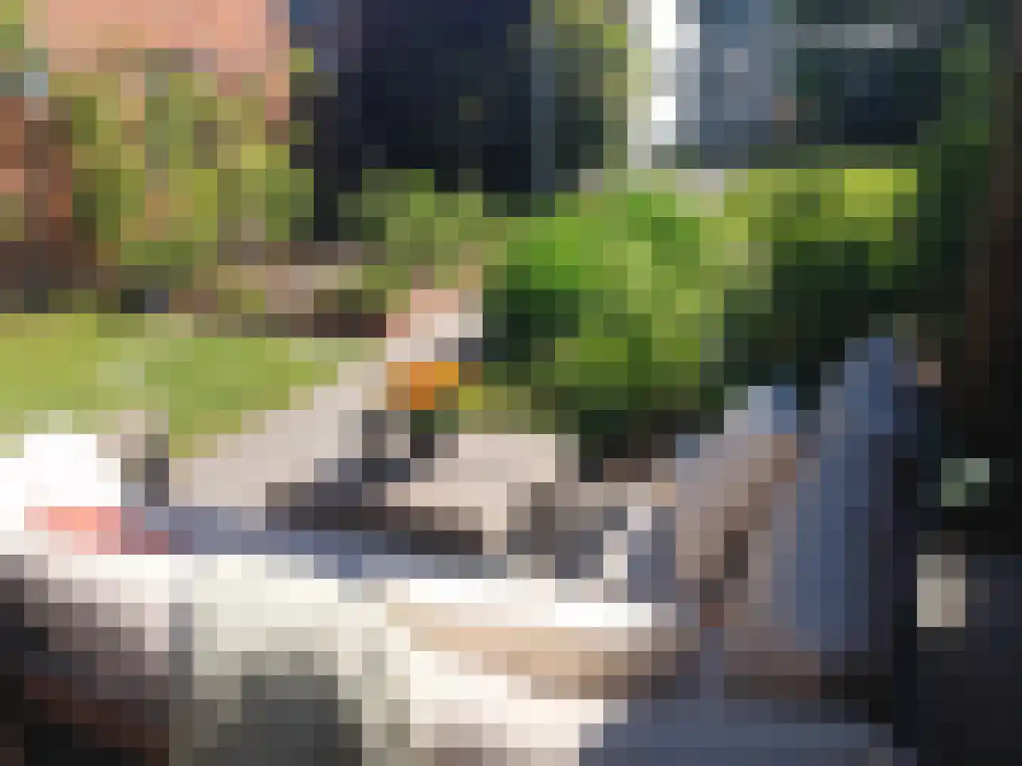 Kerkstraat 10 Hoedekenskerke thumbnail 60