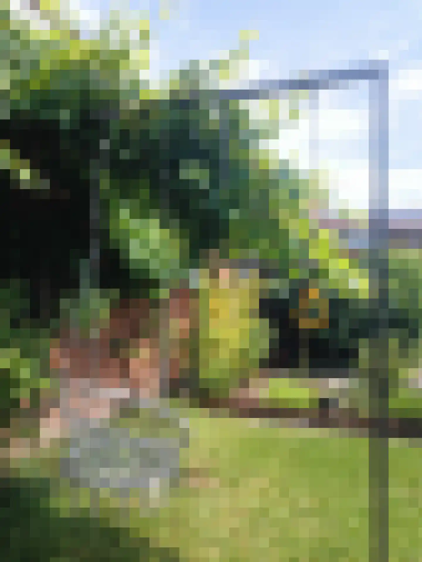 Kerkstraat 10 Hoedekenskerke thumbnail 64