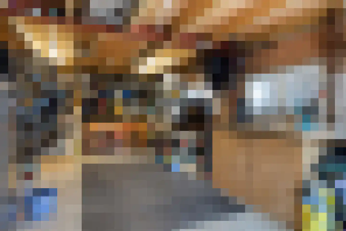 Kerkstraat 10 Hoedekenskerke thumbnail 70