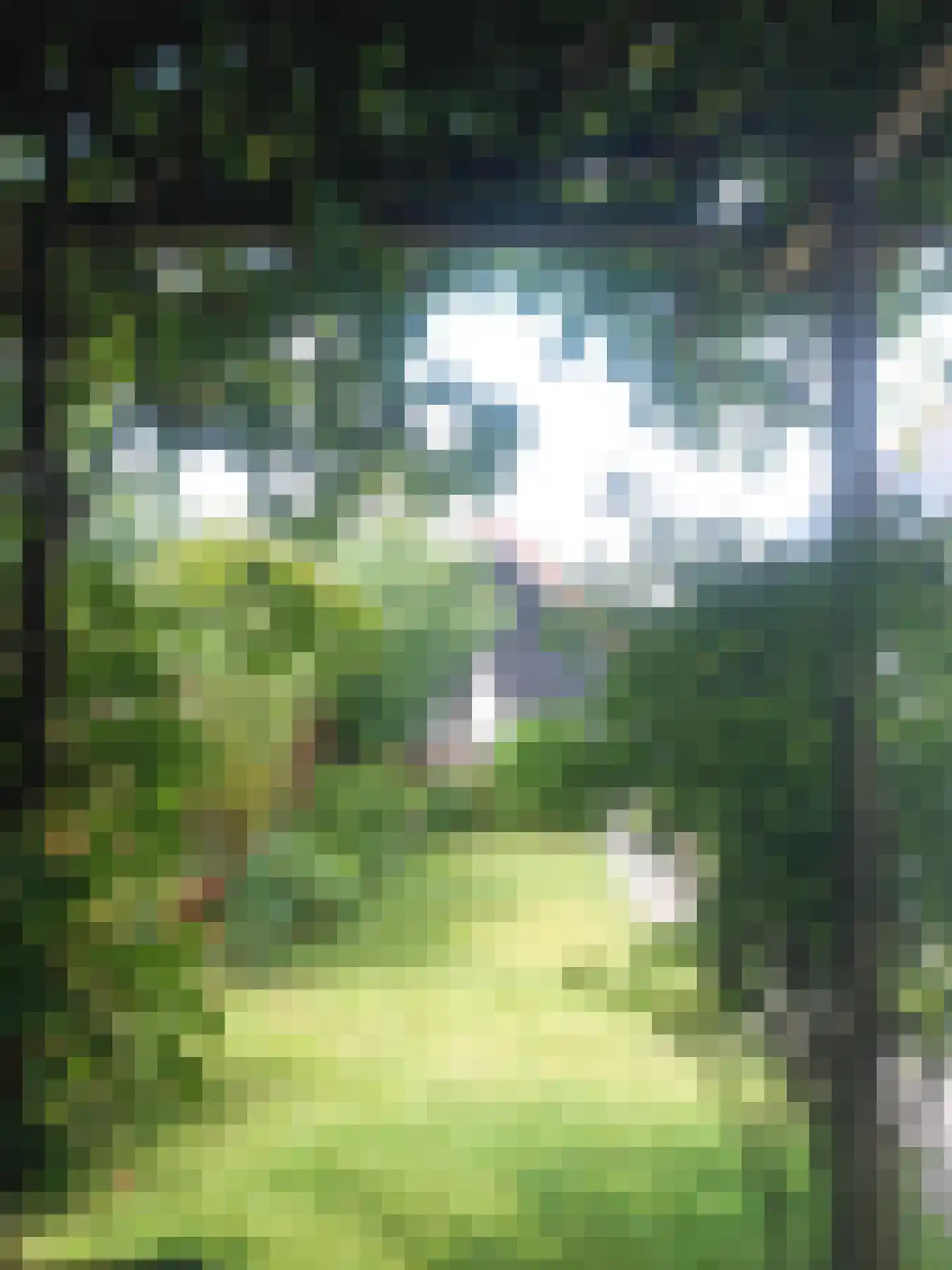 Kerkstraat 10 Hoedekenskerke thumbnail 75