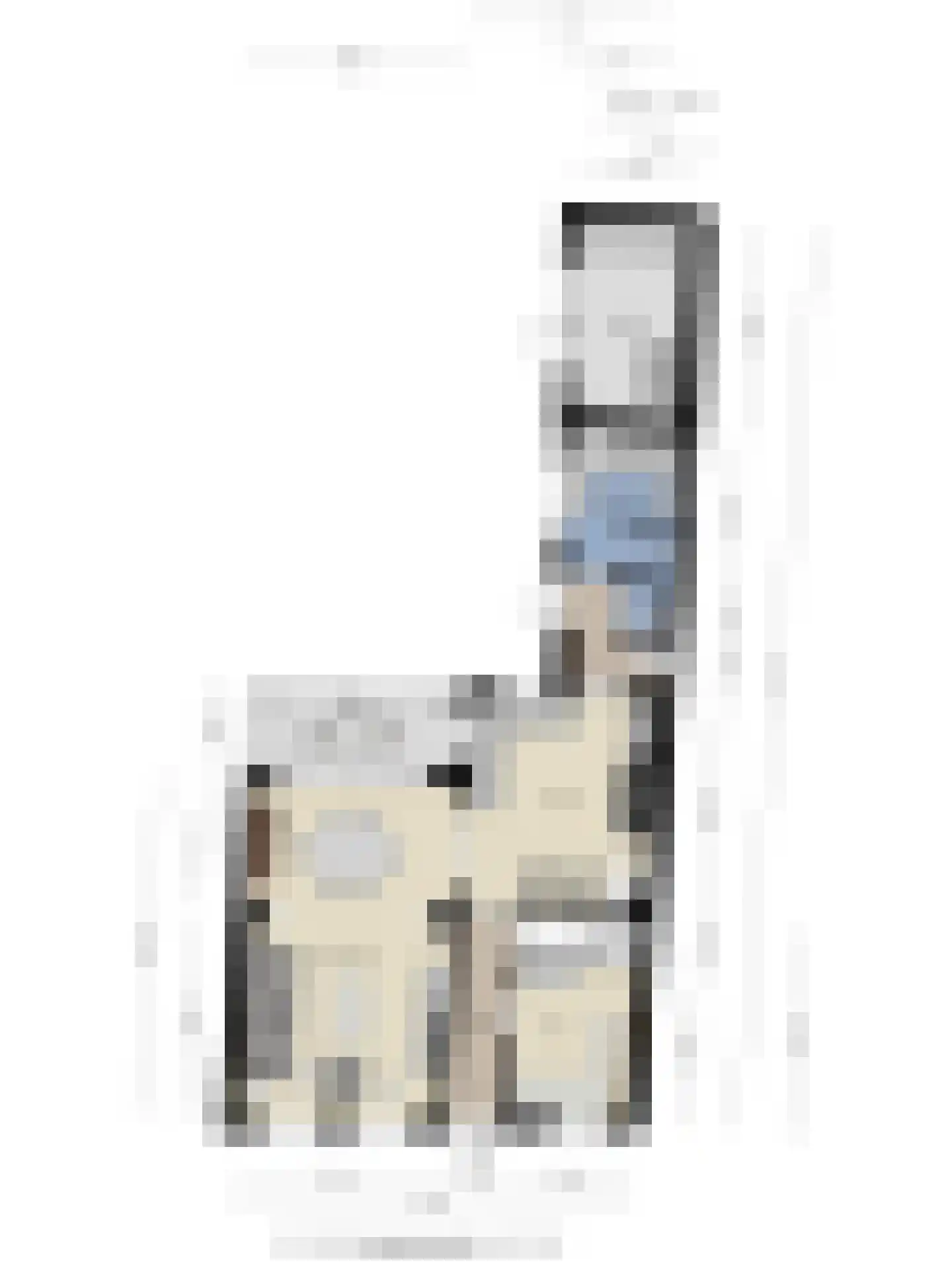 Kerkstraat 10 Hoedekenskerke thumbnail 76