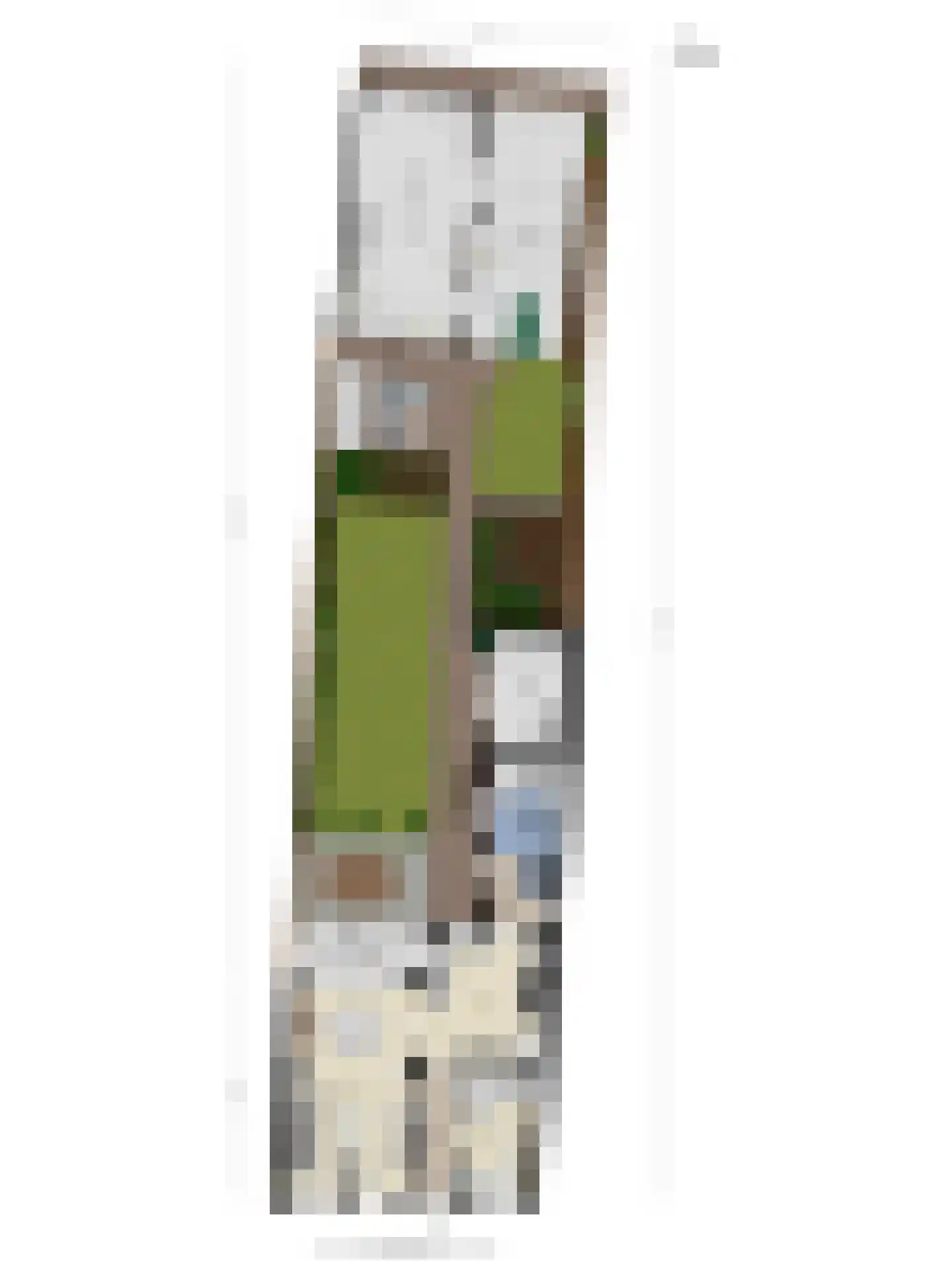 Kerkstraat 10 Hoedekenskerke thumbnail 77